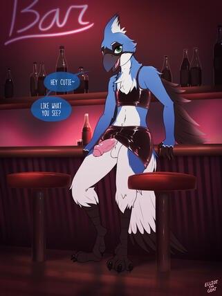 Invitation (Squawk)